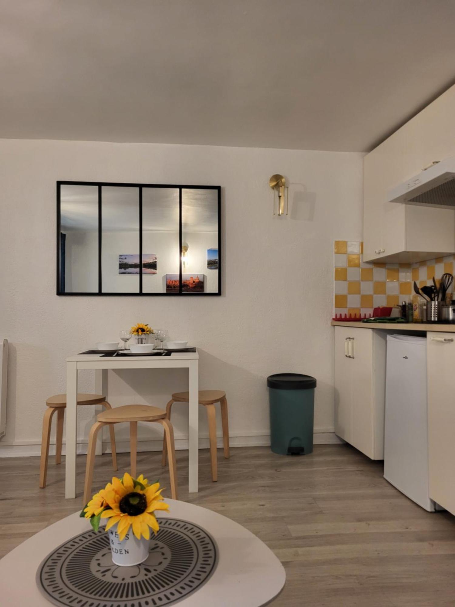 Studio/2 Pieces, Terrasse Apartment *