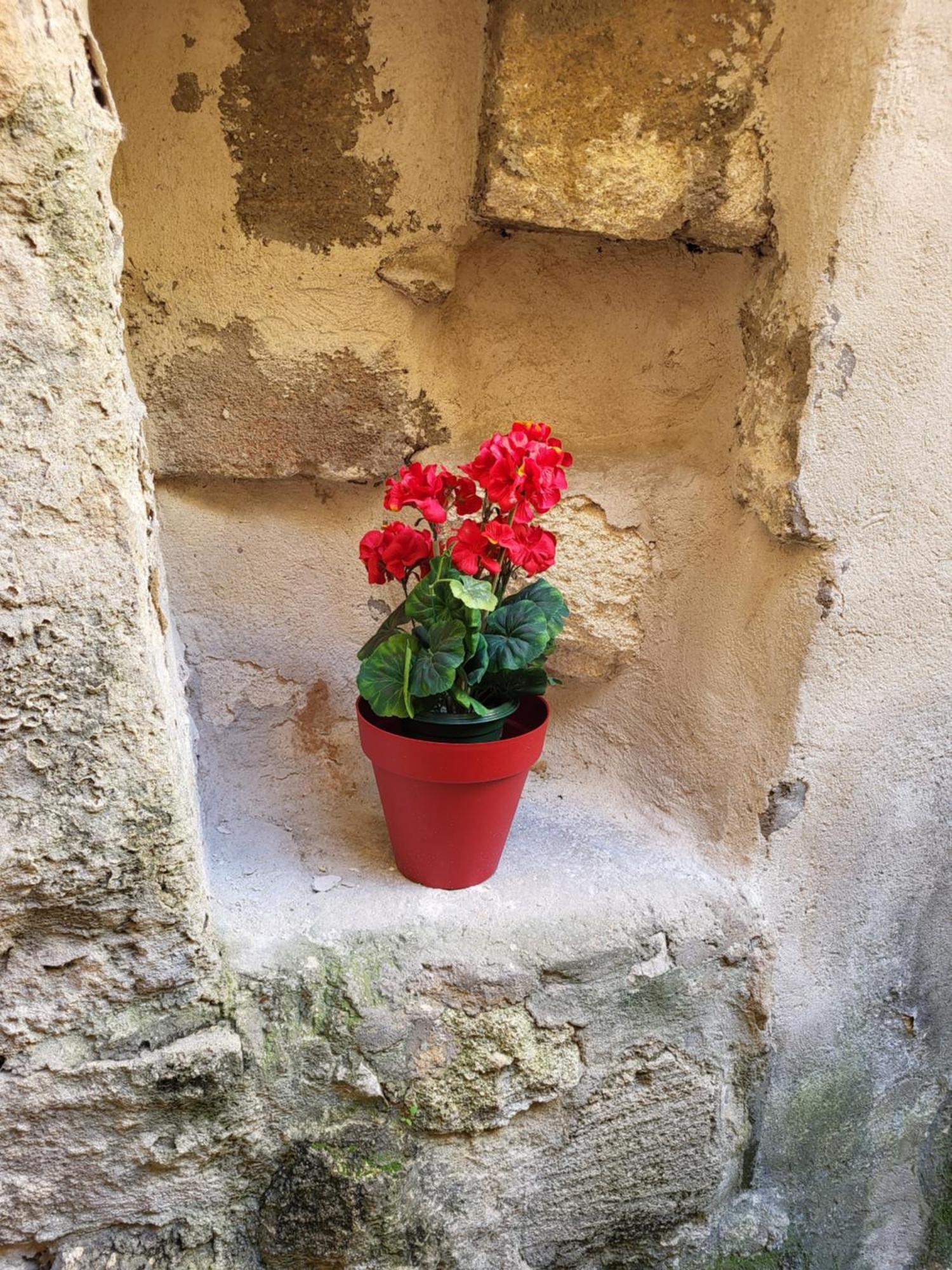 Studio/2 Pieces, Terrasse